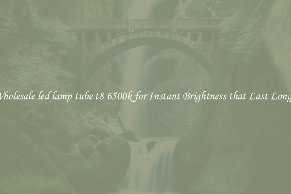 Wholesale led lamp tube t8 6500k for Instant Brightness that Last Longer