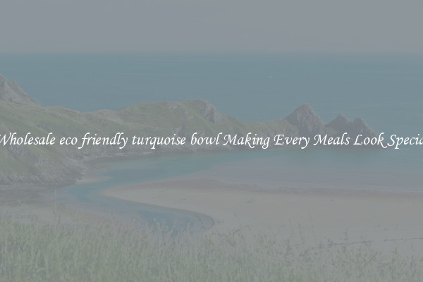 Wholesale eco friendly turquoise bowl Making Every Meals Look Special