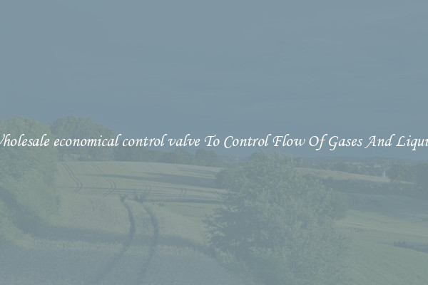 Wholesale economical control valve To Control Flow Of Gases And Liquids