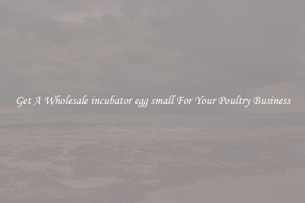 Get A Wholesale incubator egg small For Your Poultry Business