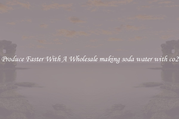 Produce Faster With A Wholesale making soda water with co2