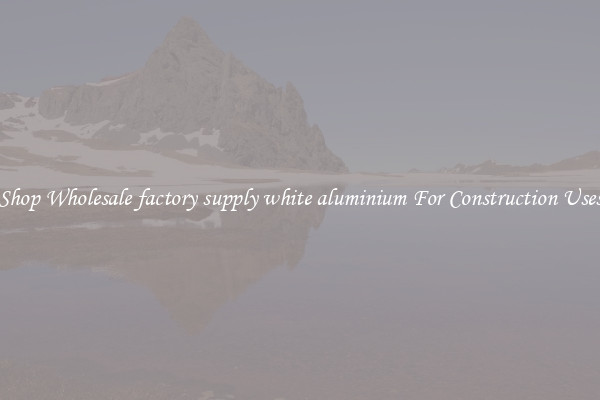 Shop Wholesale factory supply white aluminium For Construction Uses