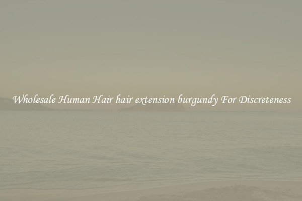 Wholesale Human Hair hair extension burgundy For Discreteness