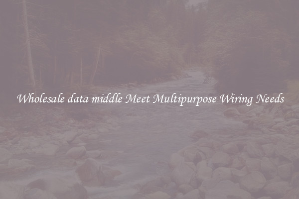 Wholesale data middle Meet Multipurpose Wiring Needs