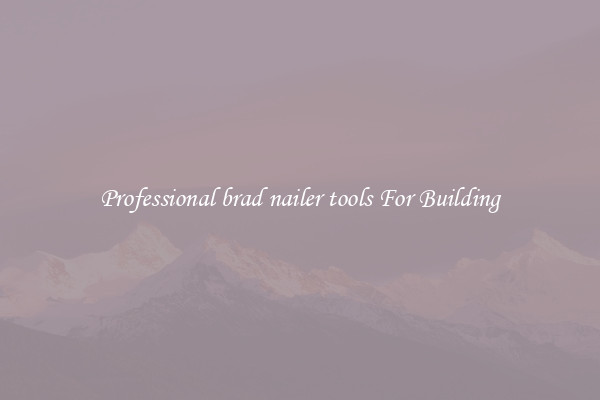 Professional brad nailer tools For Building