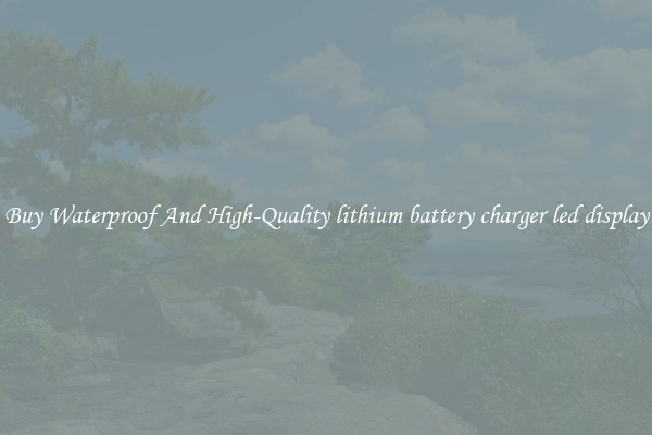 Buy Waterproof And High-Quality lithium battery charger led display