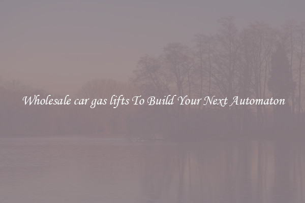 Wholesale car gas lifts To Build Your Next Automaton