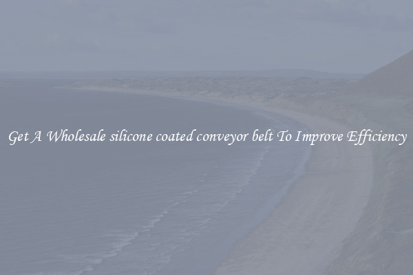 Get A Wholesale silicone coated conveyor belt To Improve Efficiency
