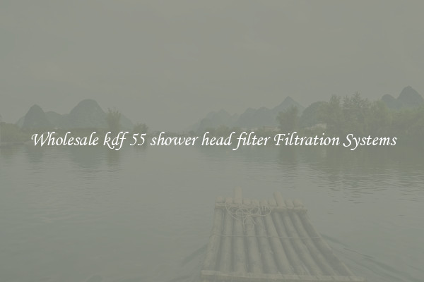 Wholesale kdf 55 shower head filter Filtration Systems