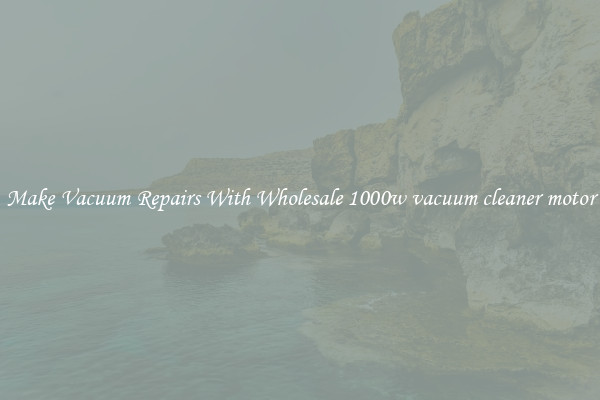 Make Vacuum Repairs With Wholesale 1000w vacuum cleaner motor
