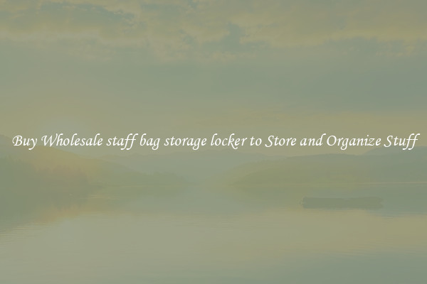Buy Wholesale staff bag storage locker to Store and Organize Stuff