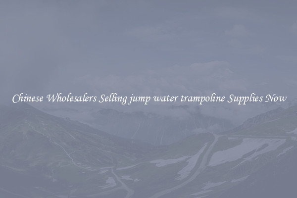 Chinese Wholesalers Selling jump water trampoline Supplies Now