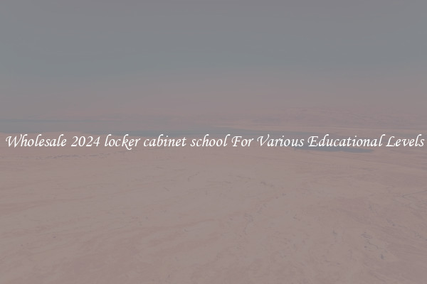Wholesale 2024 locker cabinet school For Various Educational Levels