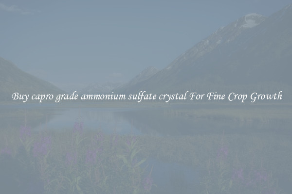 Buy capro grade ammonium sulfate crystal For Fine Crop Growth
