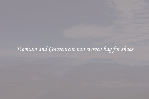 Premium and Convenient non woven bag for shoes